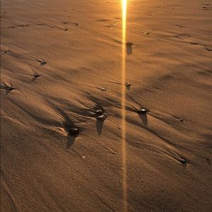 Meet your Posher, Elsa